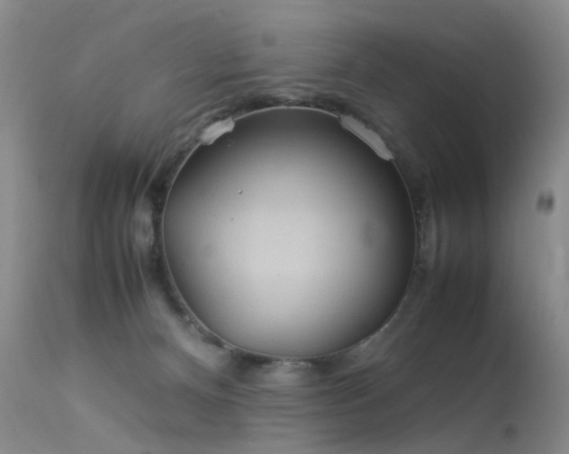 X0000113620128200909251215