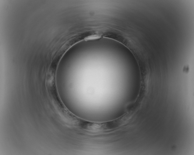 X0000113620129200909251215