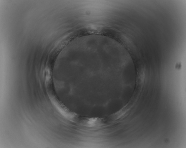 X0000113620130200909251215