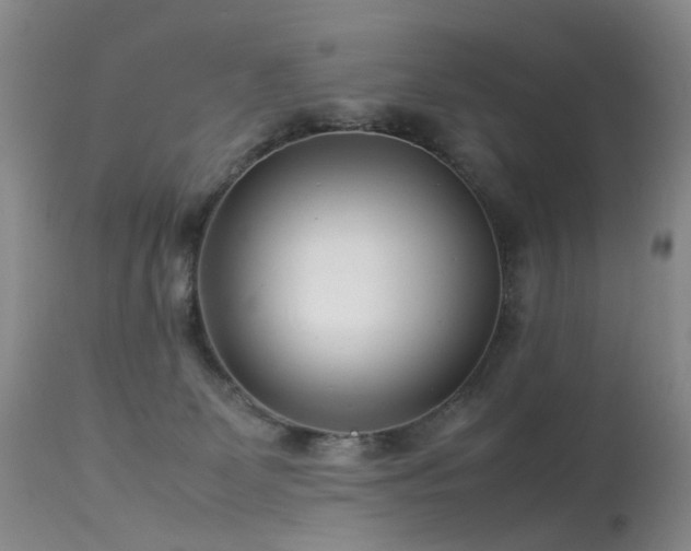 X0000113620131200909251215