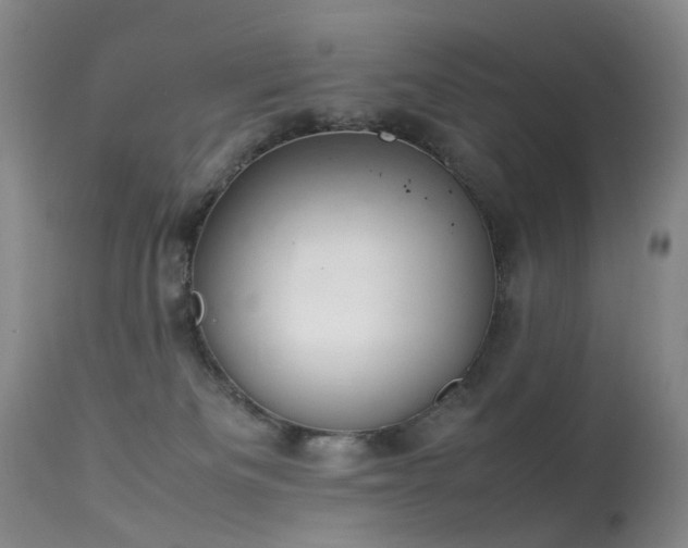 X0000113620133200909251215