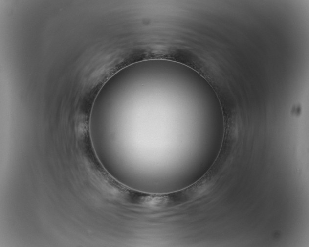 X0000113620135200909251215