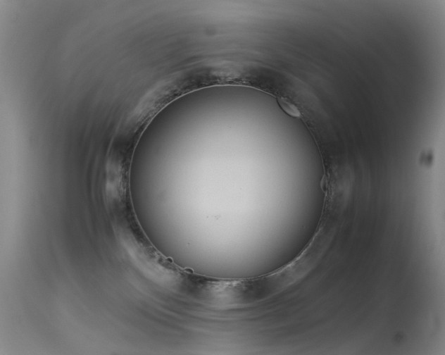 X0000113620136200909251215