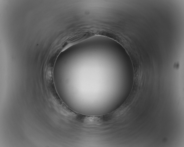 X0000113620137200909251215