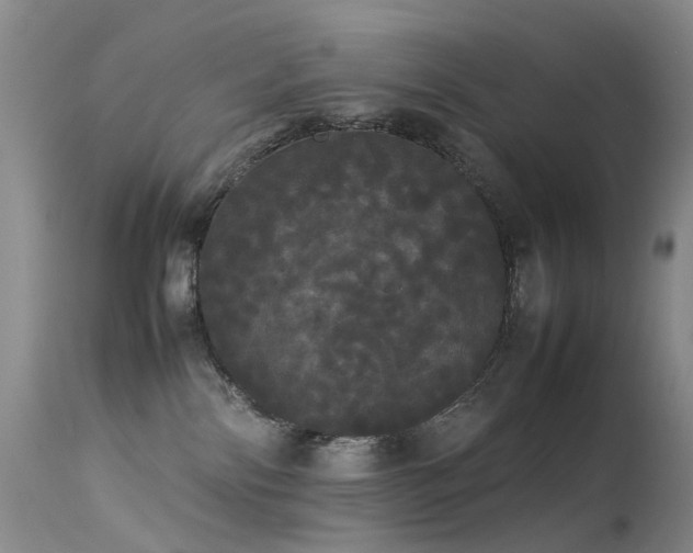 X0000113620138200909251215