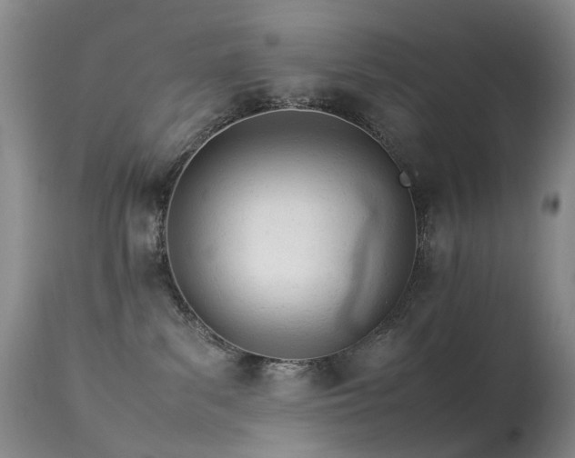 X0000113620139200909251215