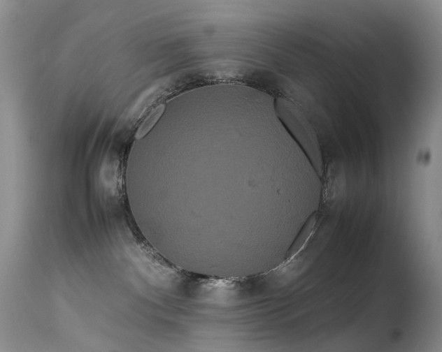 X0000113620140200909251215