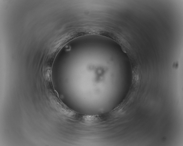 X0000113620141200909251215