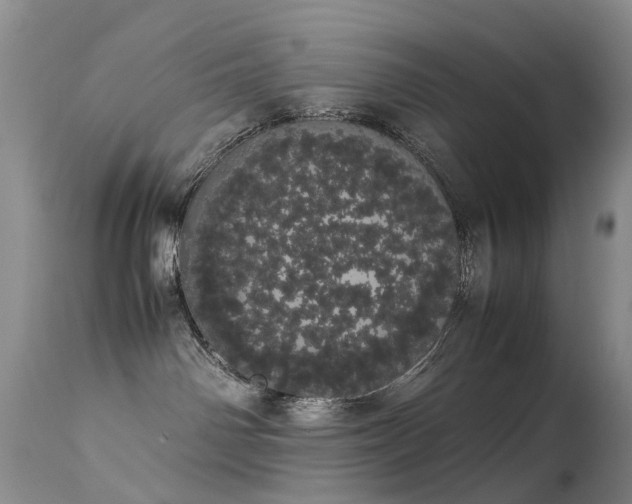 X0000113620142200909251215