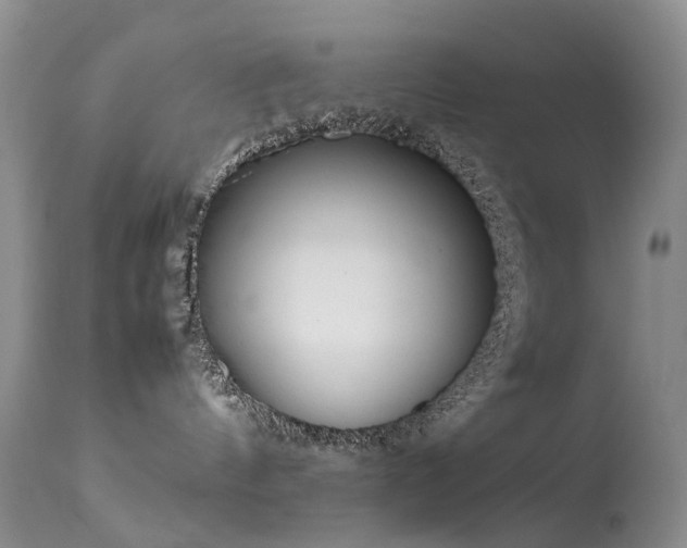 X0000113620144200909251215