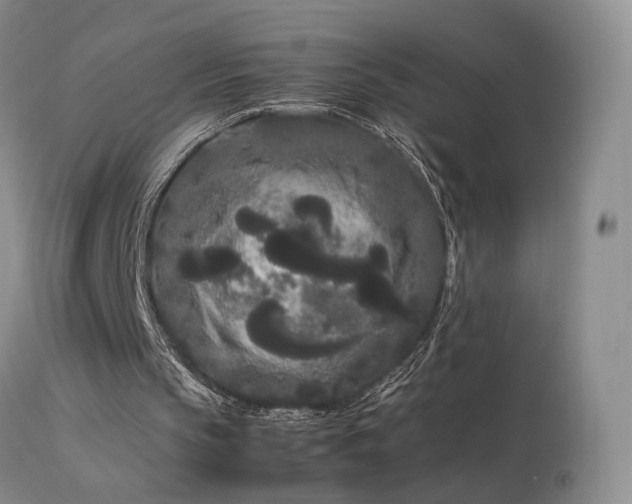 X0000113620145200909251214