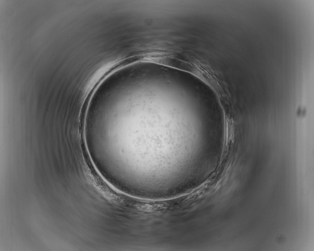 X0000113620147200909251214