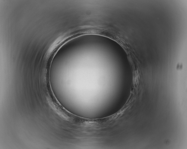 X0000113620150200909251214