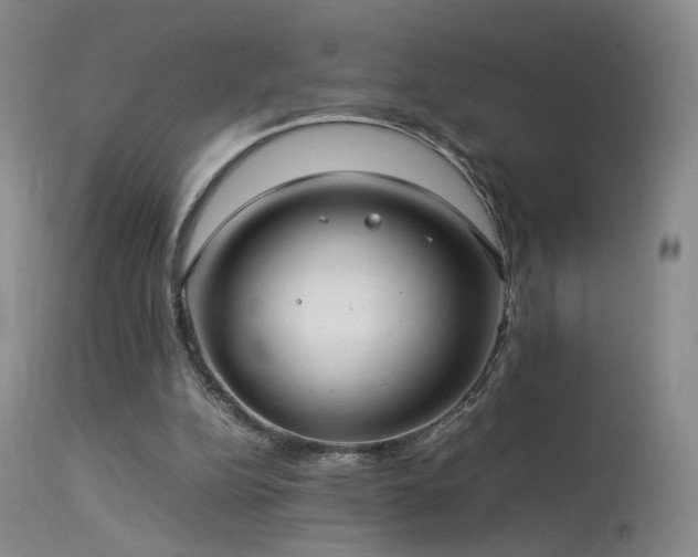 X0000113620152200909251214