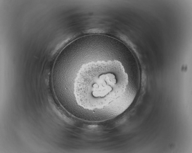 X0000113620153200909251214