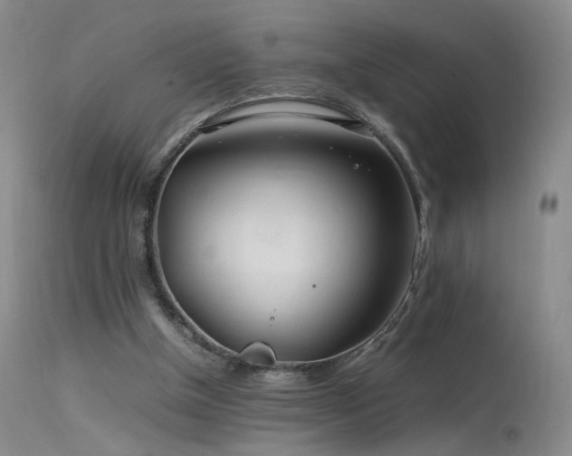 X0000113620154200909251214