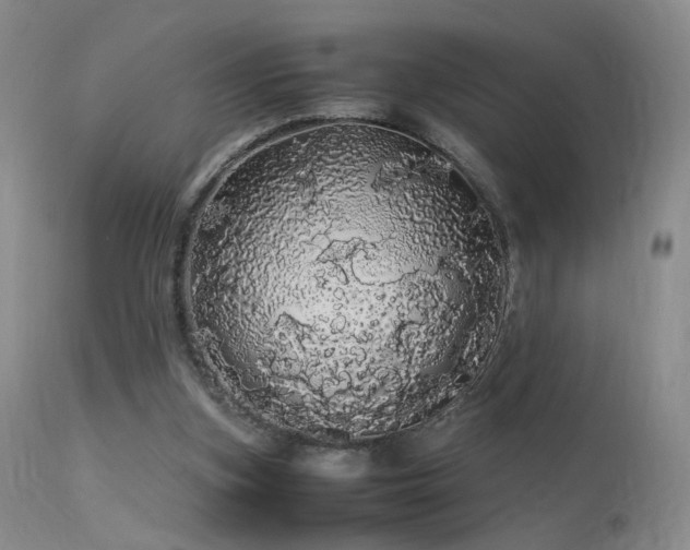 X0000113620155200909251214