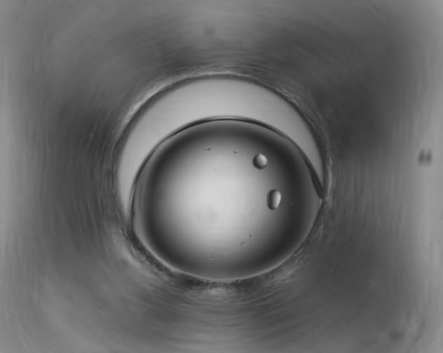 X0000113620156200909251214