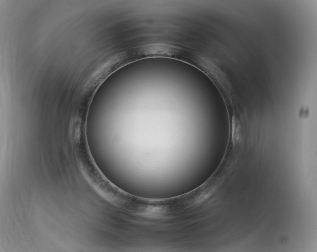 X0000113620157200909251214