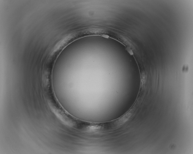 X0000113620158200909251214