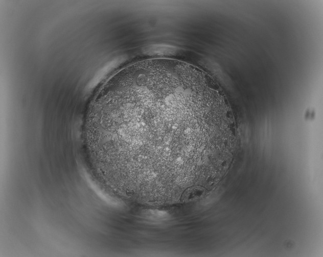 X0000113620159200909251214