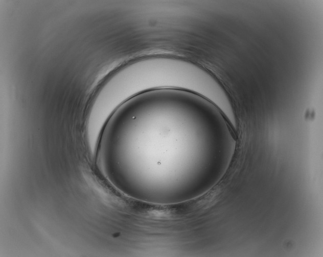 X0000113620160200909251214