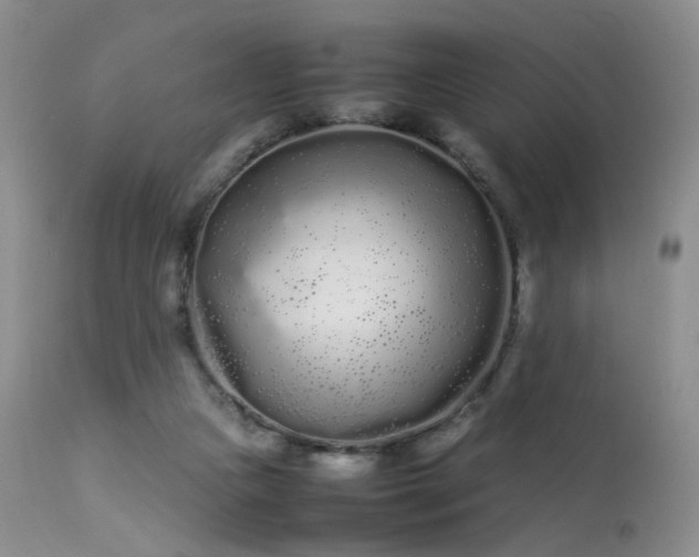 X0000113620161200909251214