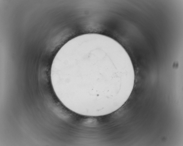 X0000113620162200909251214