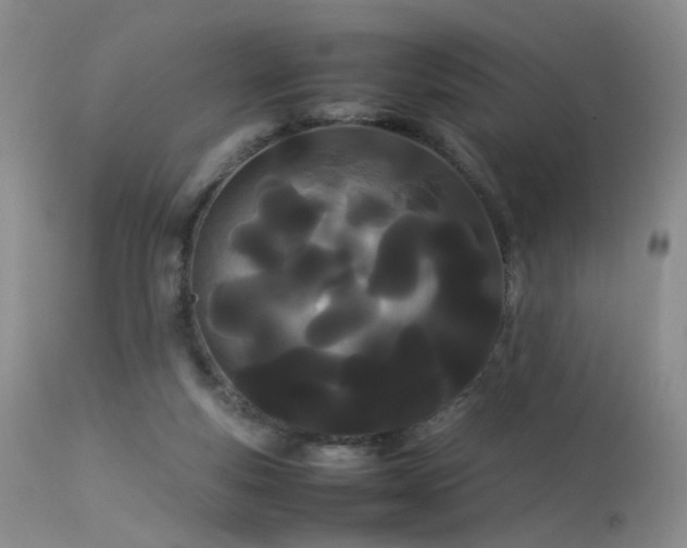 X0000113620163200909251214