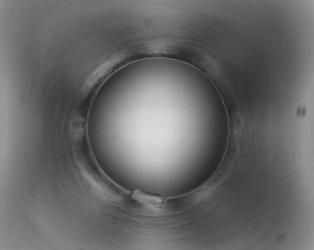 X0000113620164200909251214