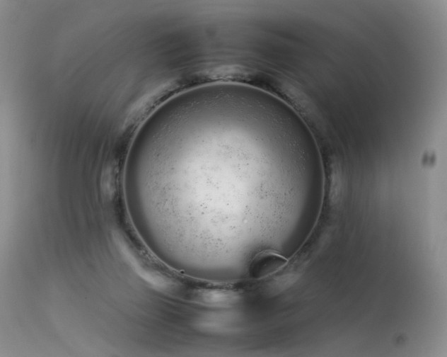 X0000113620165200909251214