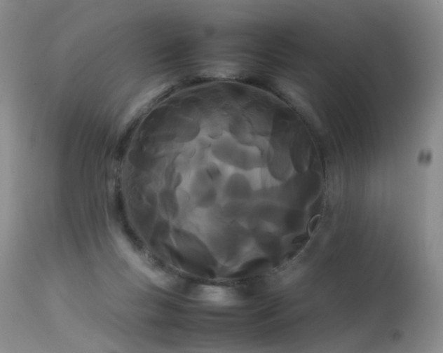 X0000113620167200909251214