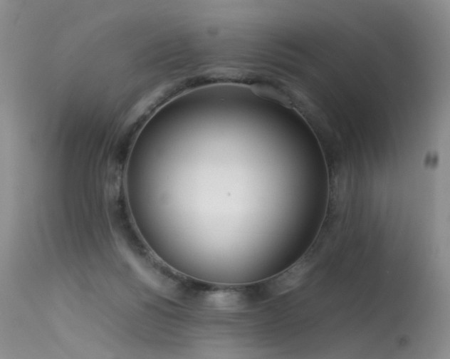 X0000113620168200909251214