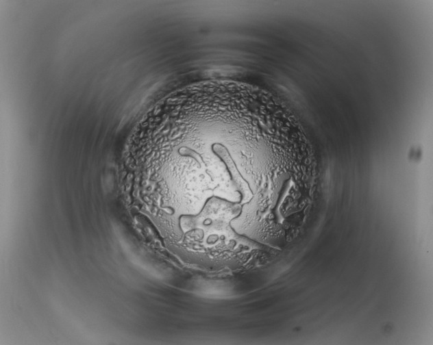 X0000113620169200909251214