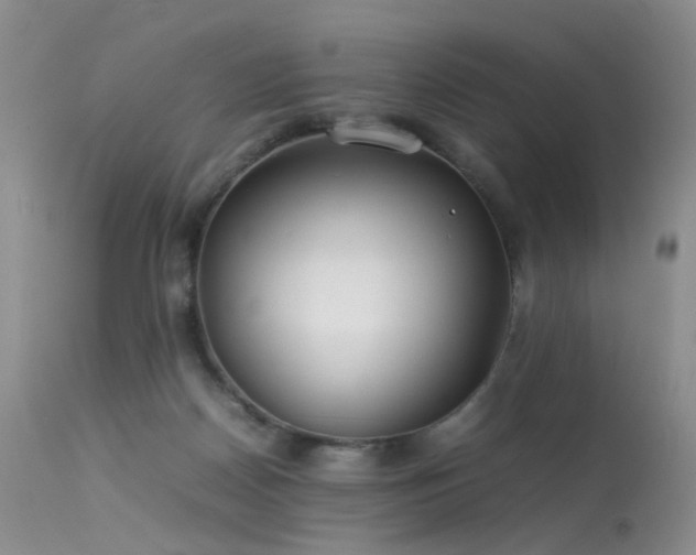 X0000113620170200909251214