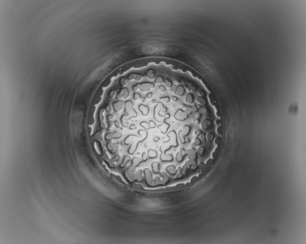 X0000113620171200909251214