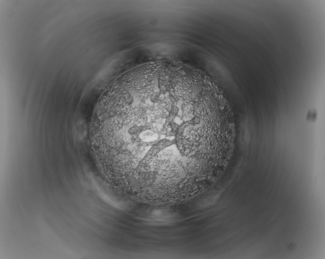 X0000113620173200909251214