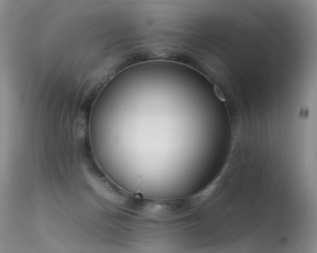 X0000113620174200909251214