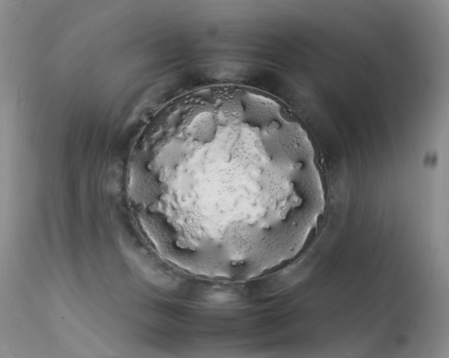 X0000113620175200909251214