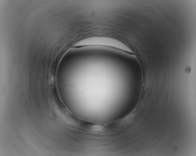 X0000113620176200909251214