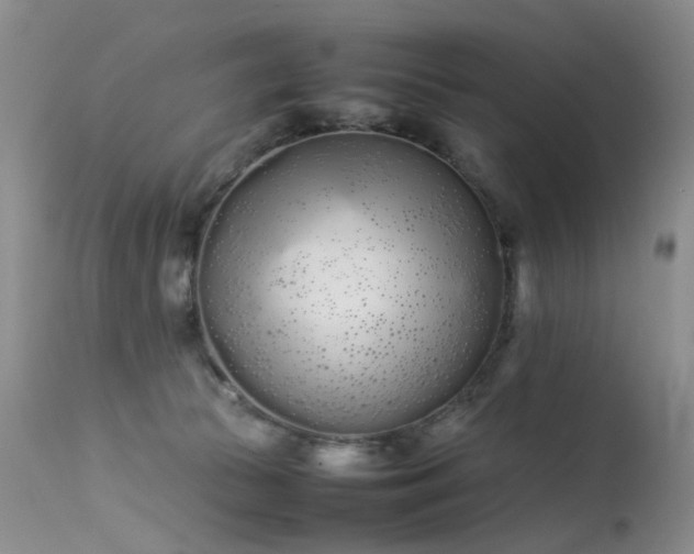 X0000113620177200909251214