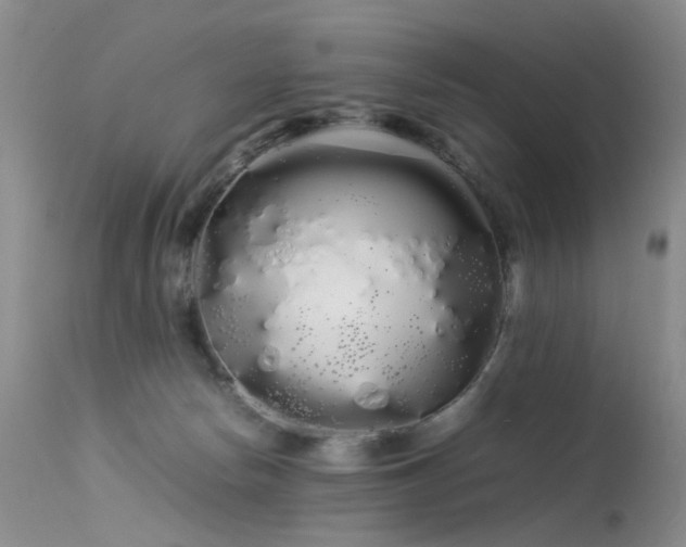 X0000113620178200909251214