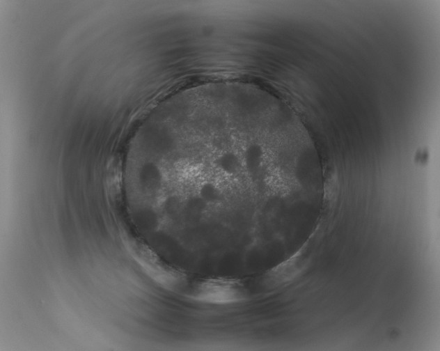 X0000113620179200909251215