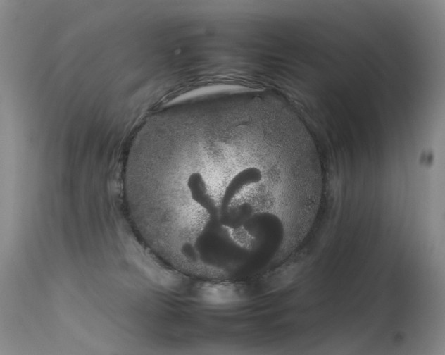 X0000113620181200909251215