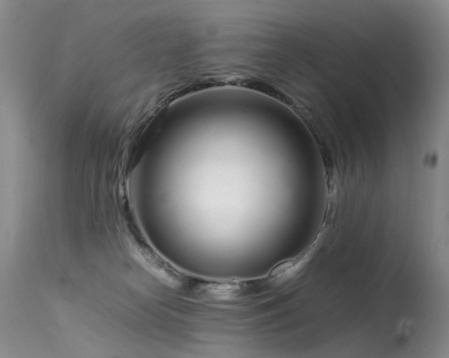 X0000113620182200909251215