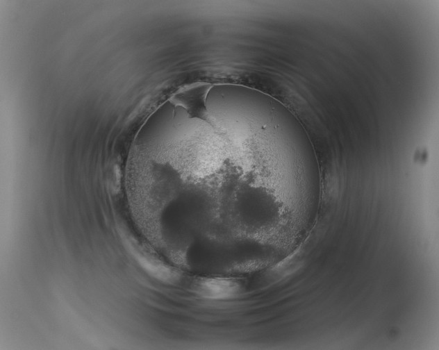 X0000113620183200909251215