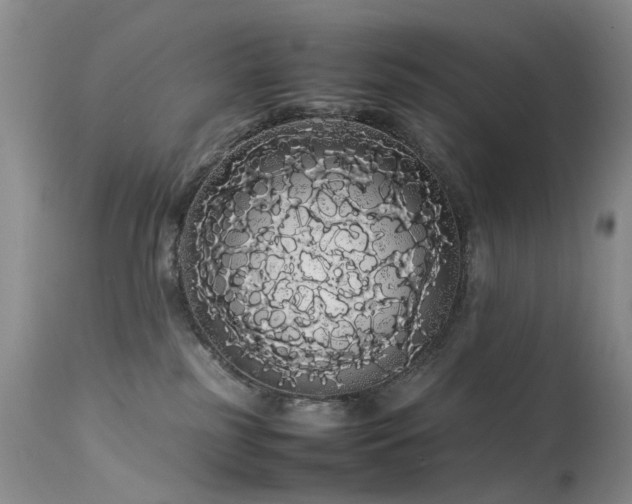 X0000113620185200909251215