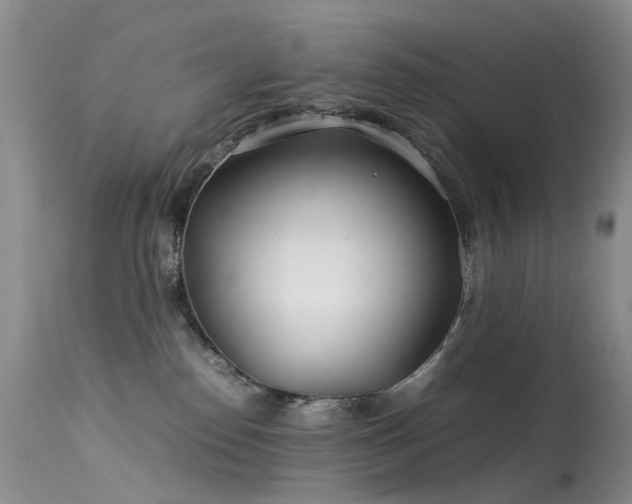 X0000113620186200909251215