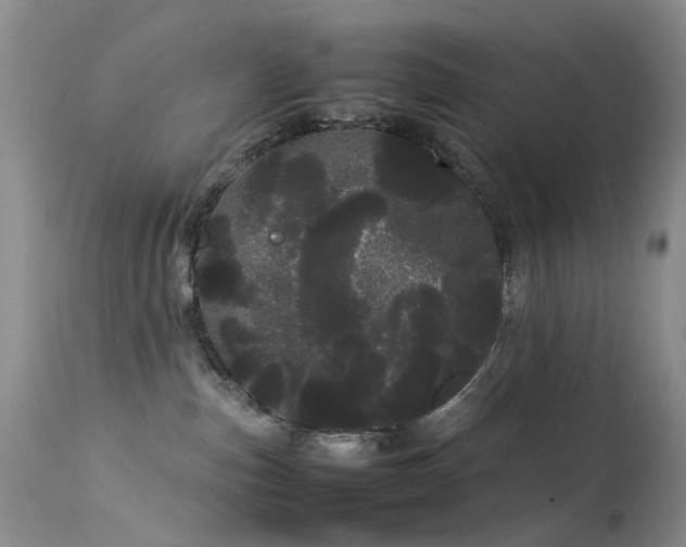 X0000113620187200909251215