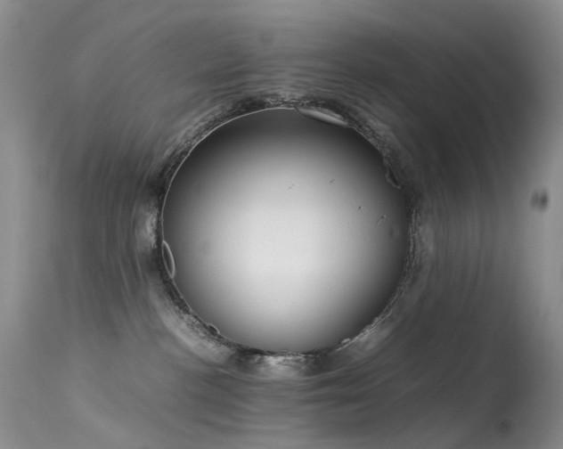 X0000113620188200909251215